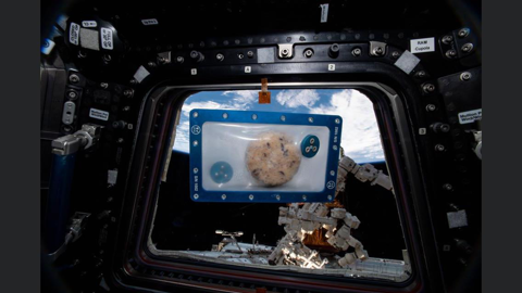 Le disque de cookie cru sera cuit dans sa poche en silicone, solidement arrimé dans un cadre, pour éviter tout incident dû au manque de gravité. 